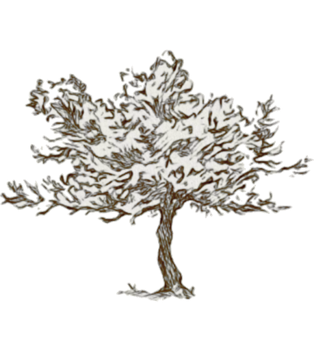 Woodcut tree graphic