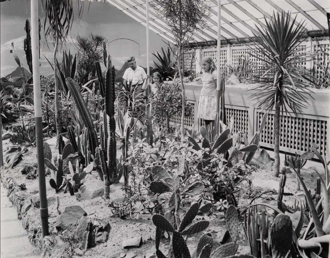 photo of Cleveland greenhouse industry here